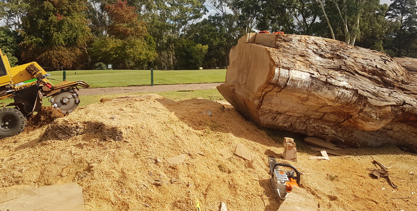 Mulching Reynella, Tree Services Happy Valley, Tree Removal Morphett Vale, Tree Pruning Woodcroft, Stump Grinding Adelaide